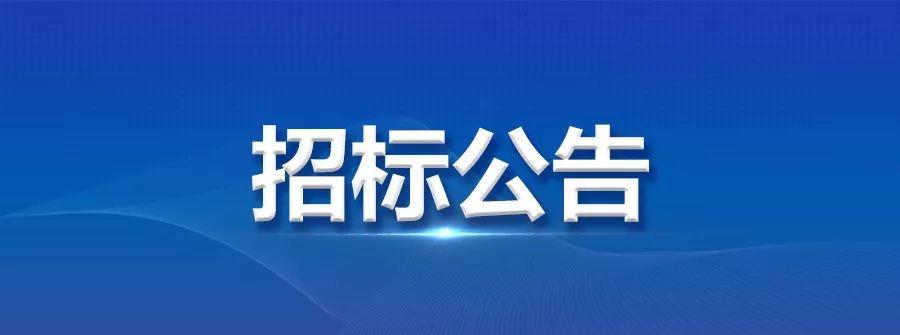 龙电华鑫集团DIP 插件自动化生产线项目投标公告